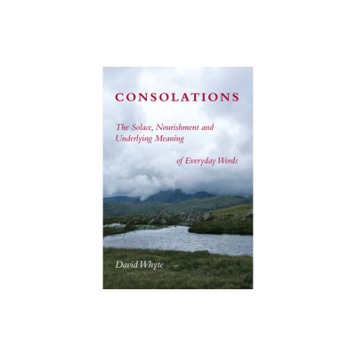 Consolations: The Solace, Nourishment and Underlying Meaning of Everyday Words foto