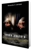 Istoria biblica a Noului Testament Vol.3 - Alexandru P. Lopuhin