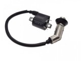 Bobina Inductie Moto Longjia LJ125T-8M, Distanta 58mm, Cablu 255mm