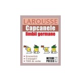 Capcanele limbii germane - Larousse