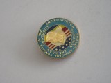 QW9 J 11 - Insigna - tematica invatamant - Universitatea romano - americana, Romania de la 1950