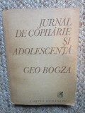 Jurnal Copilarie si Adolescenta - Geo Bogza