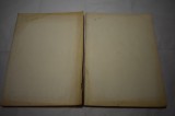lot 185 numere colligat revista Sinteze (Bacau) 1990-1995