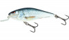 Salmo Wobler Executor Shallow Runner 7cm Real Dace