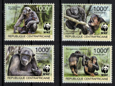 AFRICA CENTRALA 2012 - Fauna, Maimute /serie completa MNH foto