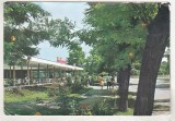 bnk cp Braila - Restaurant in Parcul Kiseleff - circulata