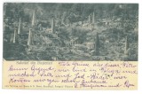 4033 - BUSTENARI, Prahova, oil wells, Romania - old postcard - used