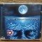 CD Eric Clapton &ndash; Pilgrim