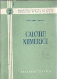Calcule numerice - Haralambie Bica Ionescu