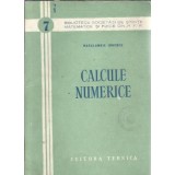 Calcule numerice - Haralambie Bica Ionescu