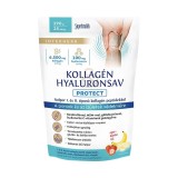 Pudra de colagen, acid hialuronic, MSM, glucozamina, condroitina, inulina si vitamina C aroma capsuni-banane Interherb 290 gr