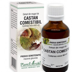 Extract din Muguri de Castan Comestibil 50ml