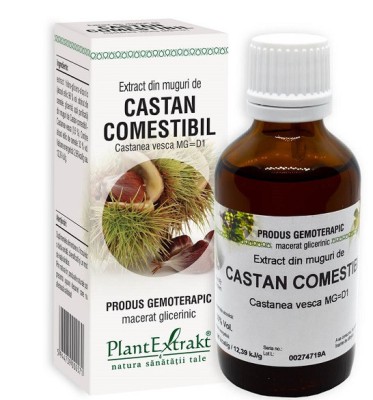 Extract din Muguri de Castan Comestibil 50ml foto