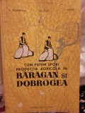 1961 Cum putem spori producţia agricolă &icirc;n Bărăgan şi Dobrogea, P. Tomoroga