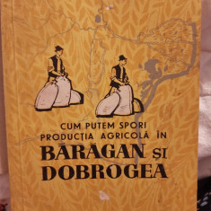 1961 Cum putem spori producţia agricolă în Bărăgan şi Dobrogea, P. Tomoroga