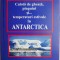 Calota de gheata, pinguini si... temperaturi estivale in Antarctica &ndash; Doru Ciucescu