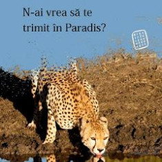 N-ai vrea sa te trimit in paradis? - Daniel Banulescu