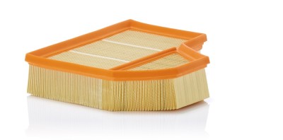 MANN-FILTER C 25 111 Filtru aer foto