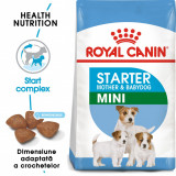Royal Canin Mini Starter Mother &amp; Babydog, mama si puiul, hrana uscata caine