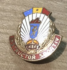 Insigna Instructor Scolar