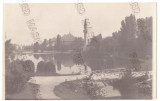 1547 - BUCURESTI, Park CAROL, Romania - old postcard, real PHOTO - unused - 1917, Necirculata, Fotografie