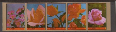 AJMAN 1972 FLORA TRANDAFIRI ( serie ndt.) MNH foto