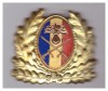 Cuc/insemn de coifura ofiter superior infanterie post-revolutie, impecabil