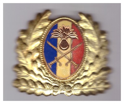 Cuc/insemn de coifura ofiter superior infanterie post-revolutie, impecabil foto