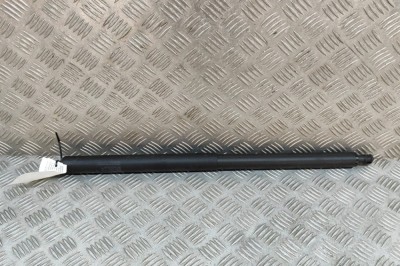 Amortizor haion dreapta TESLA MODEL Y 2023 OEM: 1500602-00-A 23517766 foto