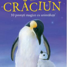 Dorinte de Craciun. 10 povesti magice cu animalute