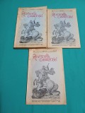 REVISTA CAVALERIEI * NR. 1-2, 3-4, 5 / 1941 * 29