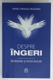 DESPRE INGERI , INTREBARI SI RASPUNSURI de OVIDIU DRAGOS ARGESANU , 2023