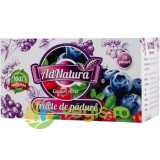 Ceai de Fructe de Padure 20dz