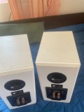 Boxe de raft Dynavoice Definition DM-6 de culoare albă