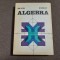 ALGEBRA - ION D. ION