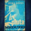 Pluta Meduzei - Vasile Baran - Roman Beletristica
