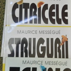 MAURICE MESSEGUE MARUL ,CITRICELE ,STRUGURII ,TELINA,VARZA