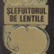 Slefuitorul de lentile