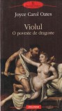 Joyce Carol Oates - Violul. O poveste de dragoste
