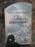 CALATORIE NETERMINATA - Anghel Dumbraveanu