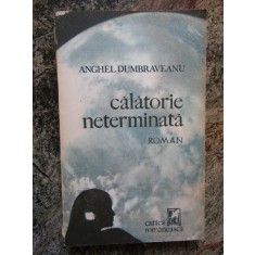 CALATORIE NETERMINATA - Anghel Dumbraveanu