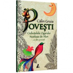 Ciubotelele Ogarului - Calin Gruia