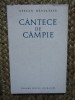 CANTECE DE CAMPIE de STEFAN BANULESCU , 1968