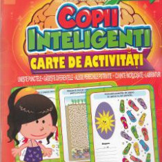 Jocuri pentru copii inteligenti. Carte de activitati +5 ani