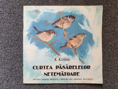 CURTEA PASARELELOR NETEMATOARE - Kirsina foto