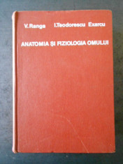 V. RANGA, I. TEODORESCU EXARCU - ANATOMIA SI FIZIOLOGIA OMULUI foto