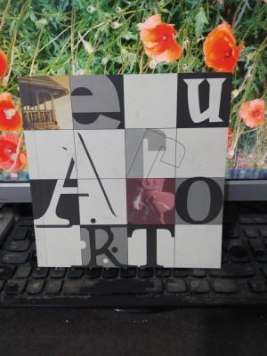 Euroart: Comunicare prin artă, Programe finanțate de Uniunea Europeană, 2003 148 foto