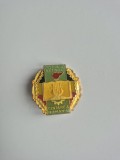 Insignă Vintage C&acirc;ntarea Rom&acirc;niei &ndash; Festivalul Național RSR &ndash; 3 cm &ndash; Stare Foarte Bună - Pionier