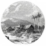 Tapet &icirc;n formă de cerc &bdquo;Landscape of Guadeloupe&rdquo;, 142,5 cm