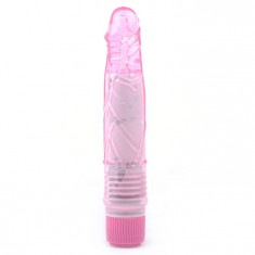 Vibrator Multi Speed 22cm